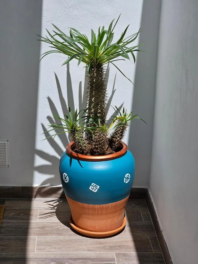Casa Buenavista Agaete Villa Tatil Evi Agaete (Gran Canaria)